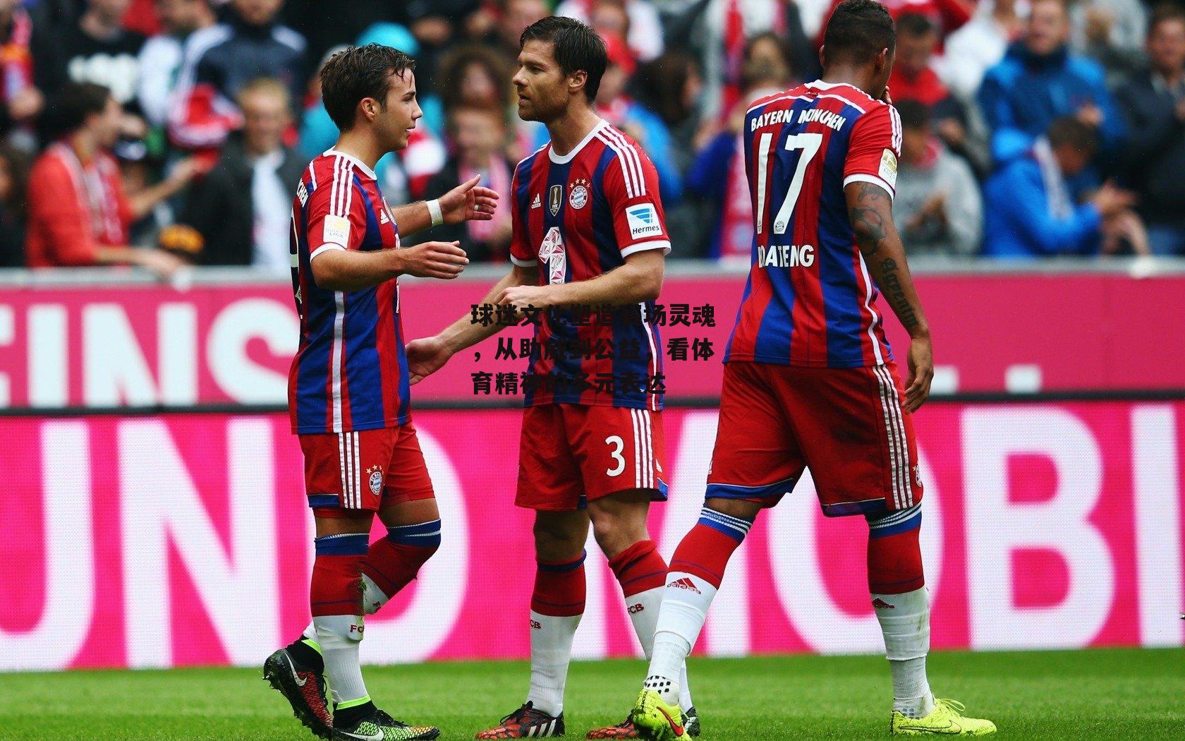 球迷文化塑造赛场灵魂，从助威到公益，看体育精神的多元表达