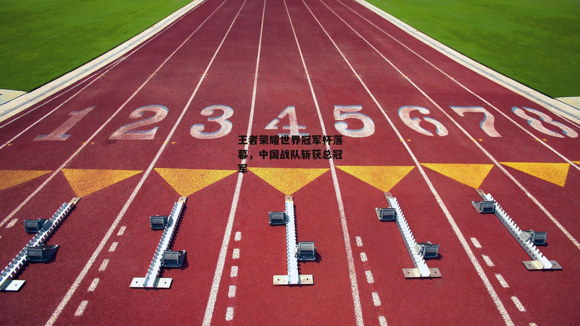 王者荣耀世界冠军杯落幕，中国战队斩获总冠军