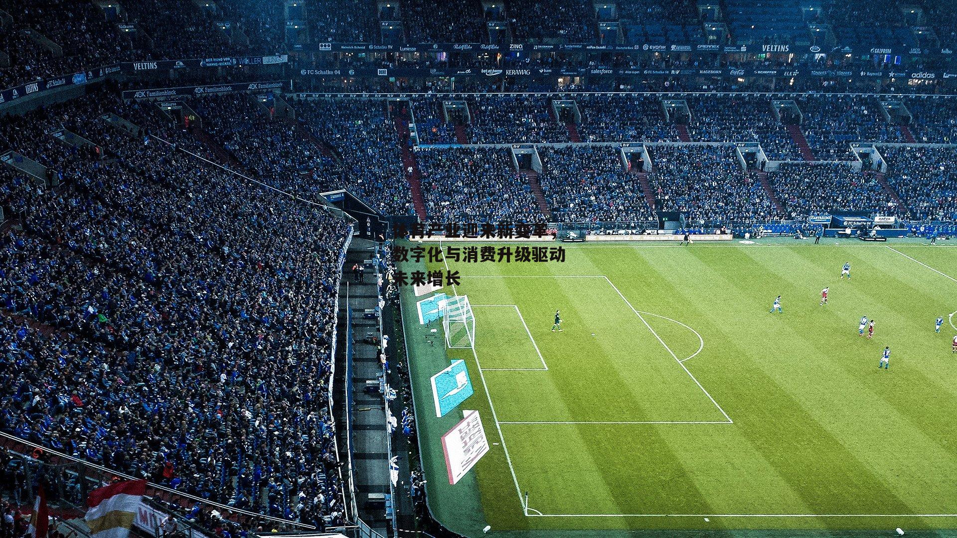体育产业迎来新变革,数字化与消费升级驱动未来增长