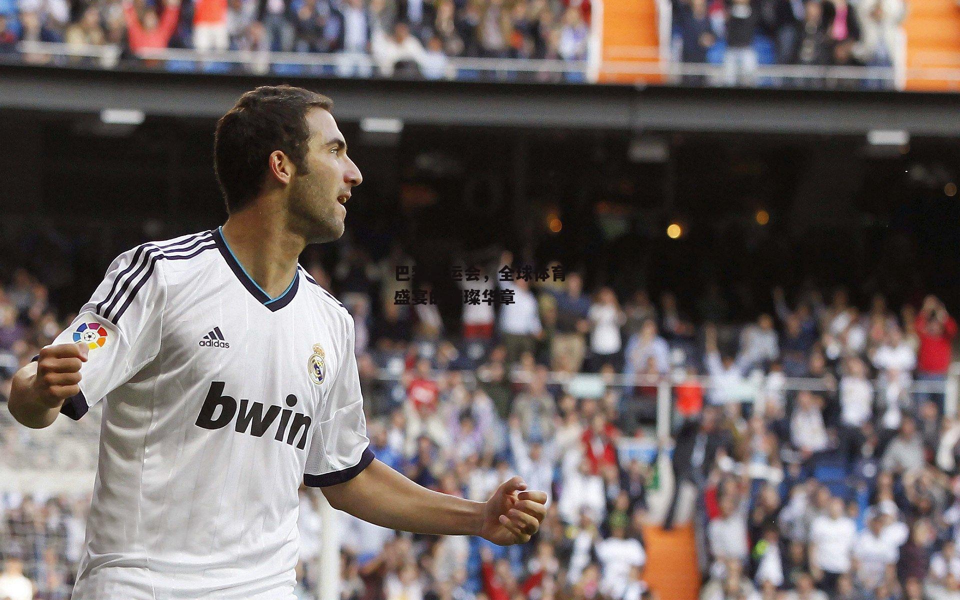 巴黎奥运会，全球体育盛宴的璀璨华章